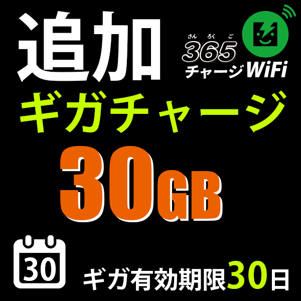 1ԡȡɲå㡼30GB/ͭ30365㡼WiFi