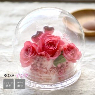 ɡ෿ץꥶ ROSA-- ԥ  (Ϥʤ) <å̾ǽ>ԥ󥯤