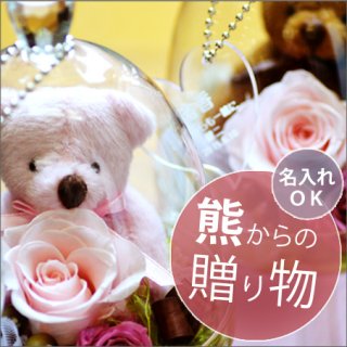 for you bear ե桼٥(Ϥʤ) <åǽ>ޤΤ̤