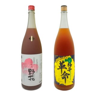 鳥取の梅酒と柚子酒飲み比べセット【2種】