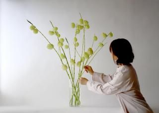 ڷ112ء۽ܤ򤫤ޤ+󥬥饹١դ