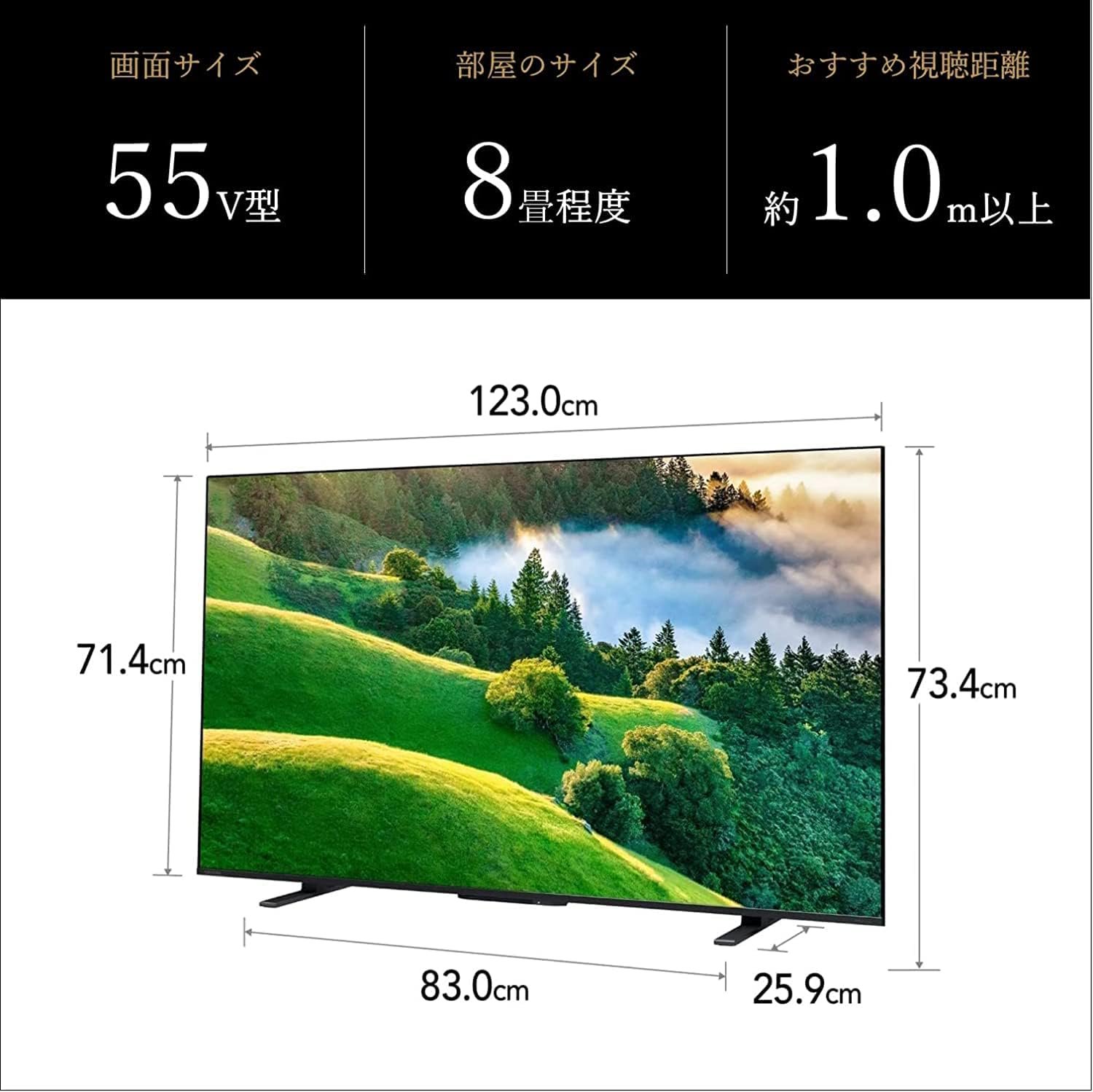 コストコ商品再販専門店 | レグザ 55インチ 4K液晶テレビ 55M550L - ホールセールジャパン（新Costcost21・コストコ商品再販店）