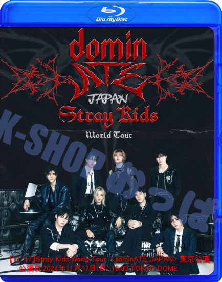 Stray Kids ワールドツアー dominATe ポスター