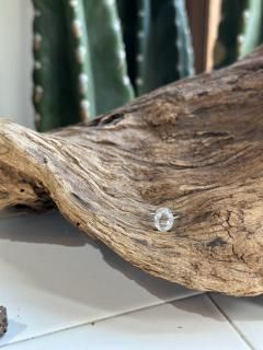 noayumiѥڡۡ8/6ˣƥ8/23ˣƥ8/252ƥ(8/28)3ƥ(8/30)1ƥࡡڤϤ9ƥۢȥޥƱ