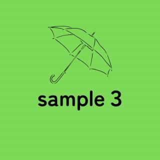 sample3
