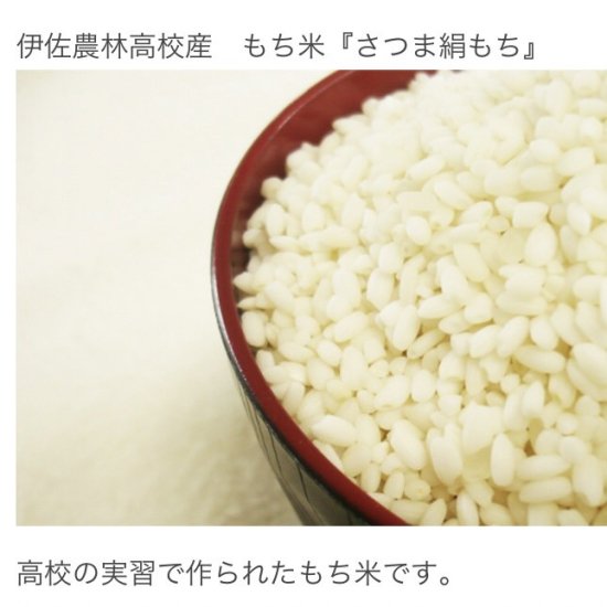 令和5年産 もち米(鹿児島県立伊佐農林高校産) 5kg (精米)(内容量4.8kg)送料別途 - 南国やまみどり