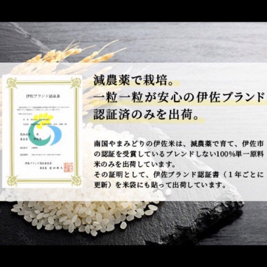 令和6年産 伊佐米ヒノヒカリ(鹿児島県伊佐市)風袋込み10kg(内容量9.5kg)送料別途 - 南国やまみどり