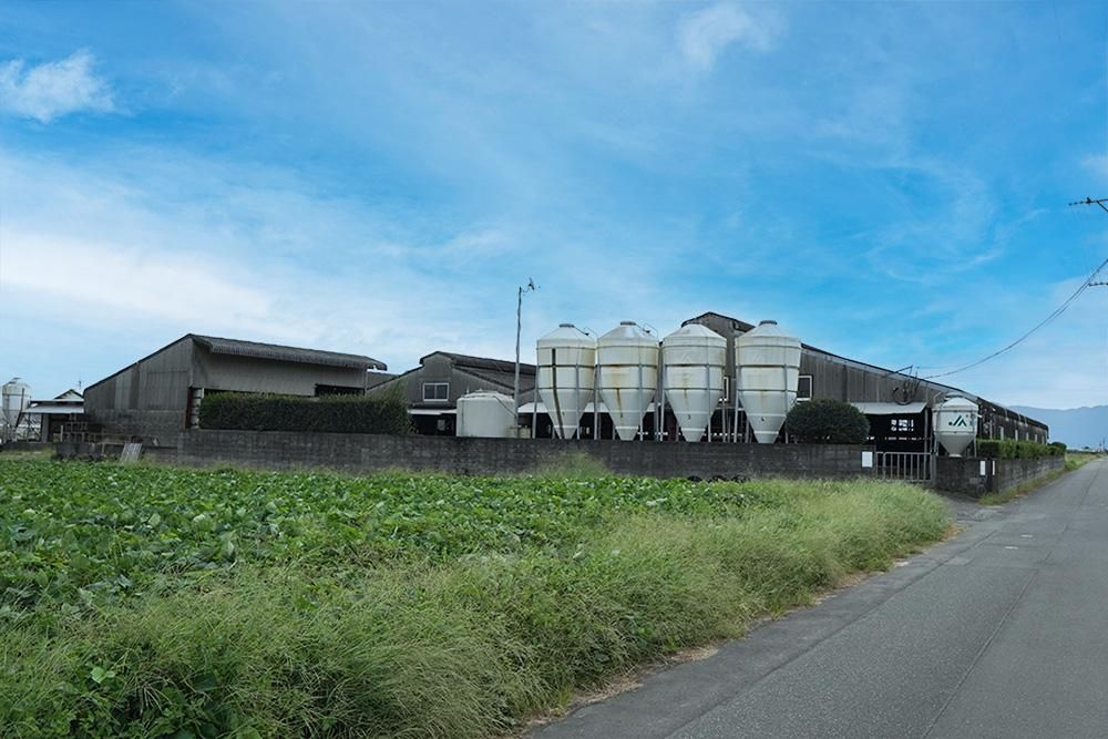 ʸ˼µյYAKUSHI GYU | եդȤ>