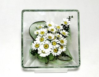 ボトルフラワー 白い花ノースポール スクウエアタイプM 　お花のプレゼント　お祝い　誕生日記念　贈り物ギフト　