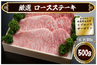 ڴָꥹڥץ饤۸ 󥹥ơ S-1