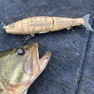 商品検索 - BRUNT｜BUSH DE CAMPERS