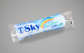 ێ׎ ӎ 13Ў6S-SKY13 6