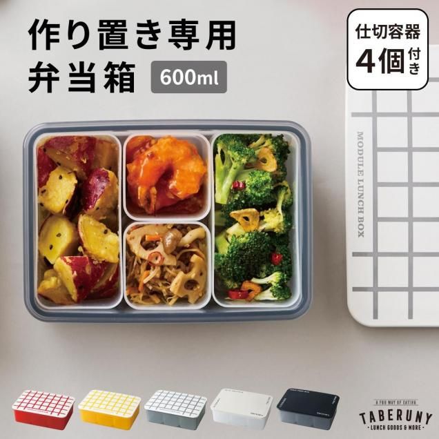 MODULE LUNCH BOX L <br> 600ml [11941]