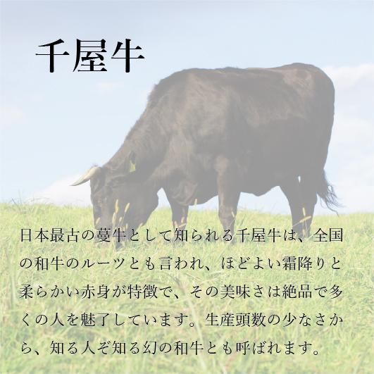 千屋牛サーロインステーキ【2枚入】（1枚250g） - 肉のふくざき