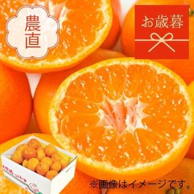 贈答用】熊本県産 みすみモグラ会のみかん 約3kg（S～Lサイズ）｜お