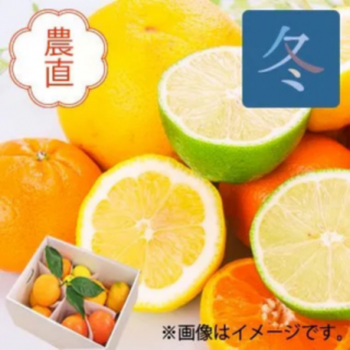 <img class='new_mark_img1' src='https://img.shop-pro.jp/img/new/icons1.gif' style='border:none;display:inline;margin:0px;padding:0px;width:auto;' />【家庭用】熊本県産/鹿児島県産 鶴田さんの柑橘詰合せ 約5kg(4種+レモン)|お届け予定期間:12月10日〜1月15日