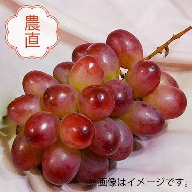 信州ぶどう祭り！長野県産 クイーンルージュ 約1kg(2～3房)｜お