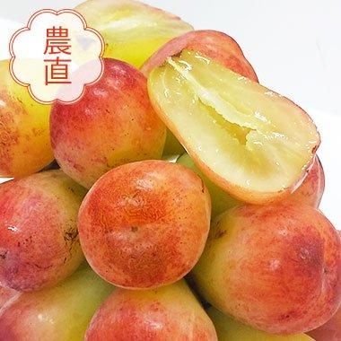 信州ぶどう祭り！長野県産 アウローラ21 1房（約600g)｜お届け