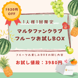 ڤ11Ȣ¤ۥޥ륿ե󥯥֥ե롼ĤBOX12ʬˡäϤͽ֡25<img class='new_mark_img2' src='https://img.shop-pro.jp/img/new/icons62.gif' style='border:none;display:inline;margin:0px;padding:0px;width:auto;' />