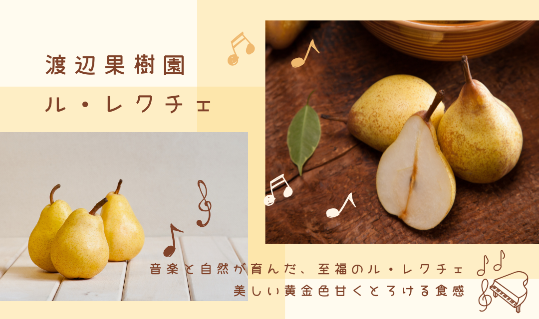 渡辺果樹園のル・レクチェ
