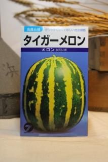 ウリメロン様 プリンスメロン（ウリ科キュウリ属） | 野菜もの知り百科 | JAあつぎ
