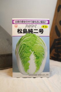 松島純2号白菜 5ml(約800粒) 光郷城 畑懐