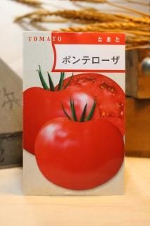トマト - 光郷城 畑懐