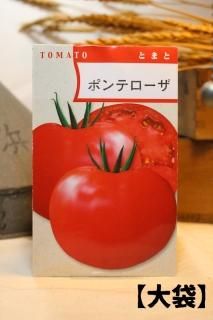 トマト - 光郷城 畑懐