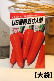 USդޤͻ(100ml)