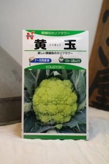 ブロッコリー・カリフラワー - 光郷城 畑懐