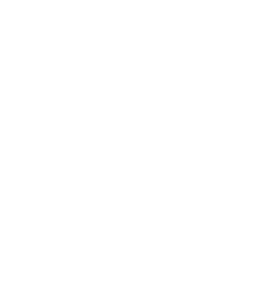 Dianthus lapin