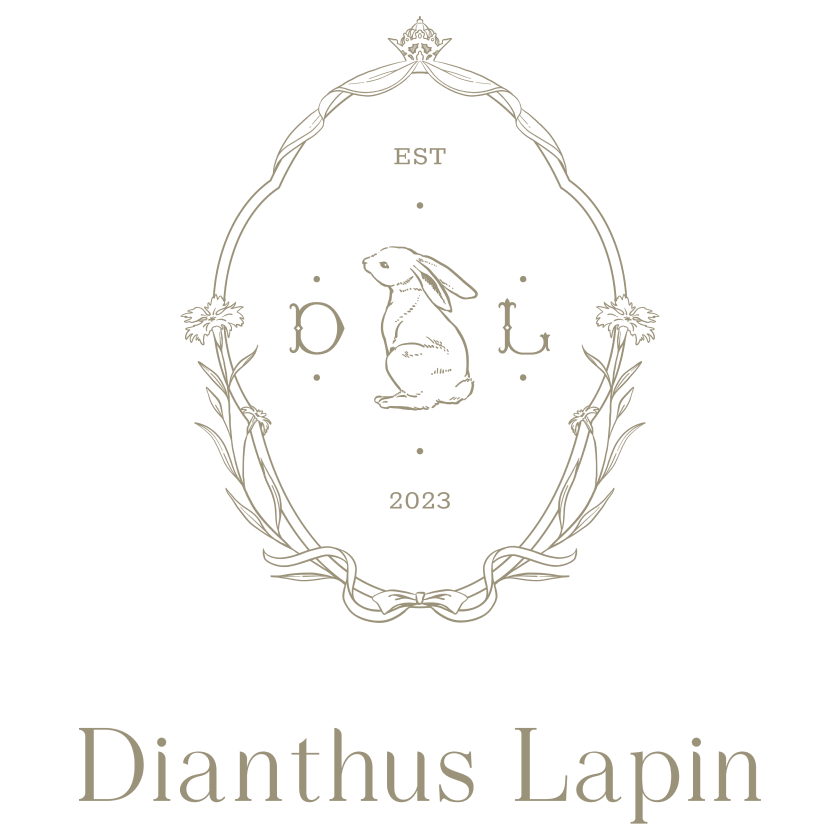 Dianthus Lapin