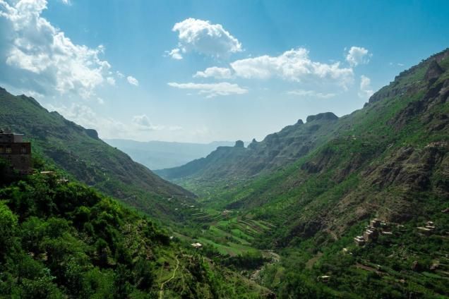 <img class='new_mark_img1' src='https://img.shop-pro.jp/img/new/icons1.gif' style='border:none;display:inline;margin:0px;padding:0px;width:auto;' />������󡡥ϥ��ޡ��ʥ����롡���ƥ��������ȡʣ��������