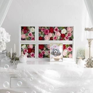 Ǥ襤ڥåʩ<br>Scarlet Cross<img class='new_mark_img2' src='https://img.shop-pro.jp/img/new/icons16.gif' style='border:none;display:inline;margin:0px;padding:0px;width:auto;' />