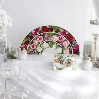 Ǥ襤ڥåʩ<br>Scarlet Rainbow<img class='new_mark_img2' src='https://img.shop-pro.jp/img/new/icons18.gif' style='border:none;display:inline;margin:0px;padding:0px;width:auto;' />