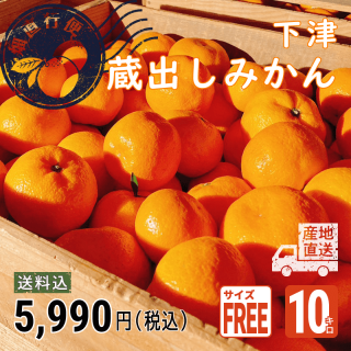 ¢Фߤ/10kg¢ߤ äפꥵ