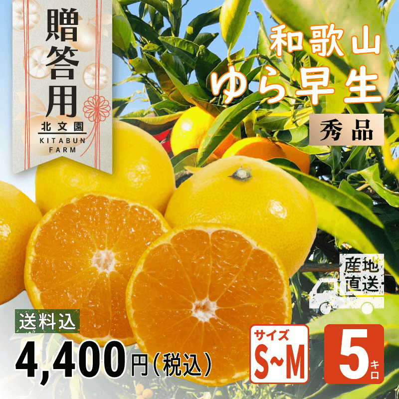 贈答用】機械選別 ファミリーサイズ 5㎏ 約50個入り 秀品 | 和歌山県下津町で育てられた美味しいみかん - 和歌山 北文園