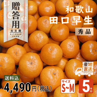  ĸ/5kgۼ̤ǤϤ̵̤ѡ 