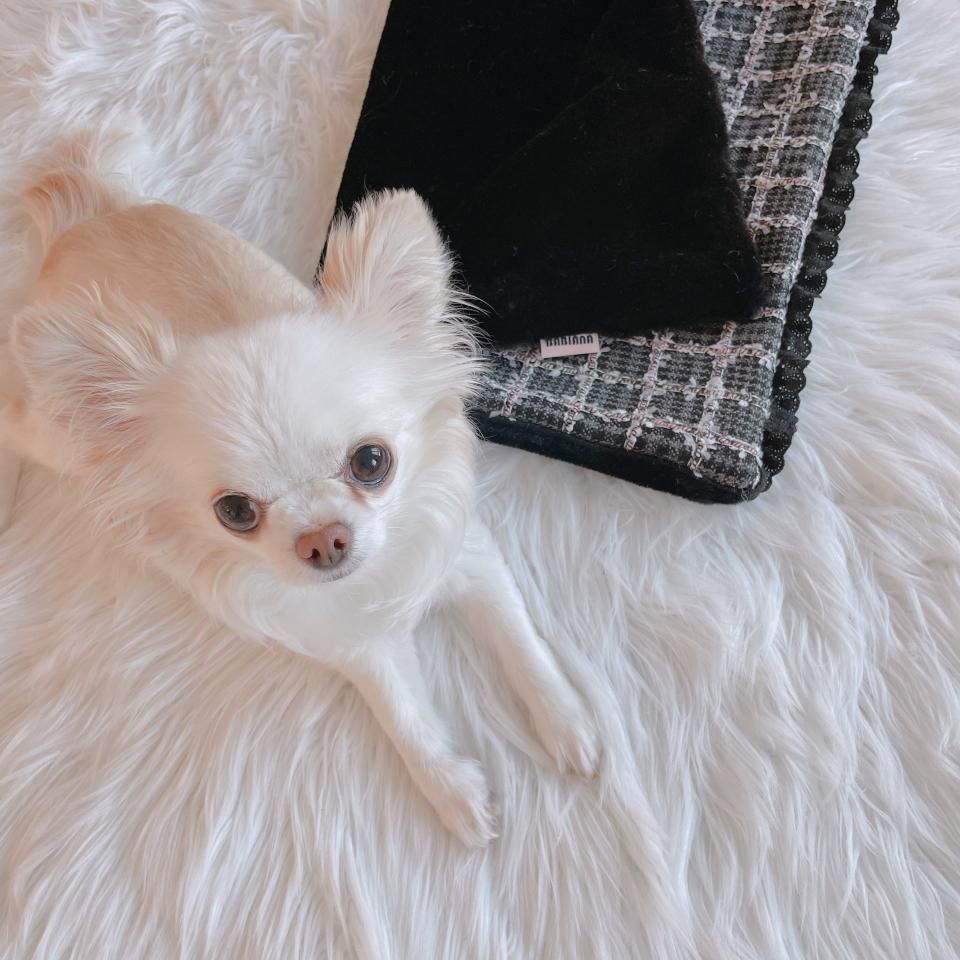 MINI BLANKETBLACK TWEEDͽʡ12~ȯͽ