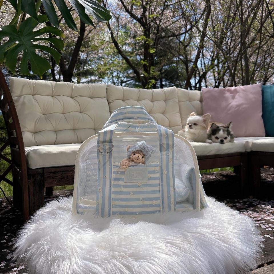 CUBE - BABIANA JAPAN