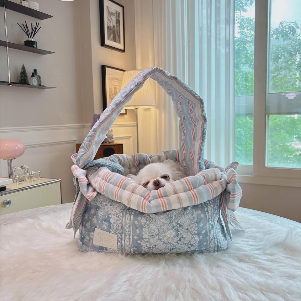 商品検索 - BABIANA JAPAN