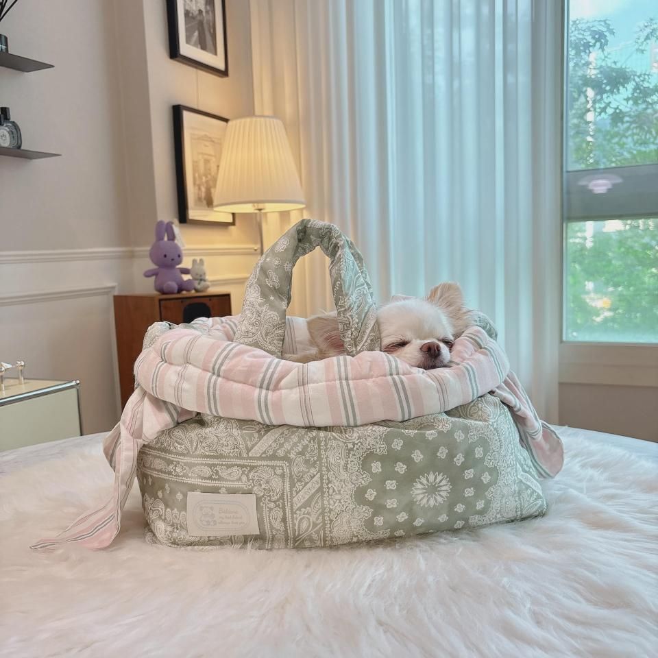 AJIBAG BONGBONGGreen Teaͽ12~ȯͽ