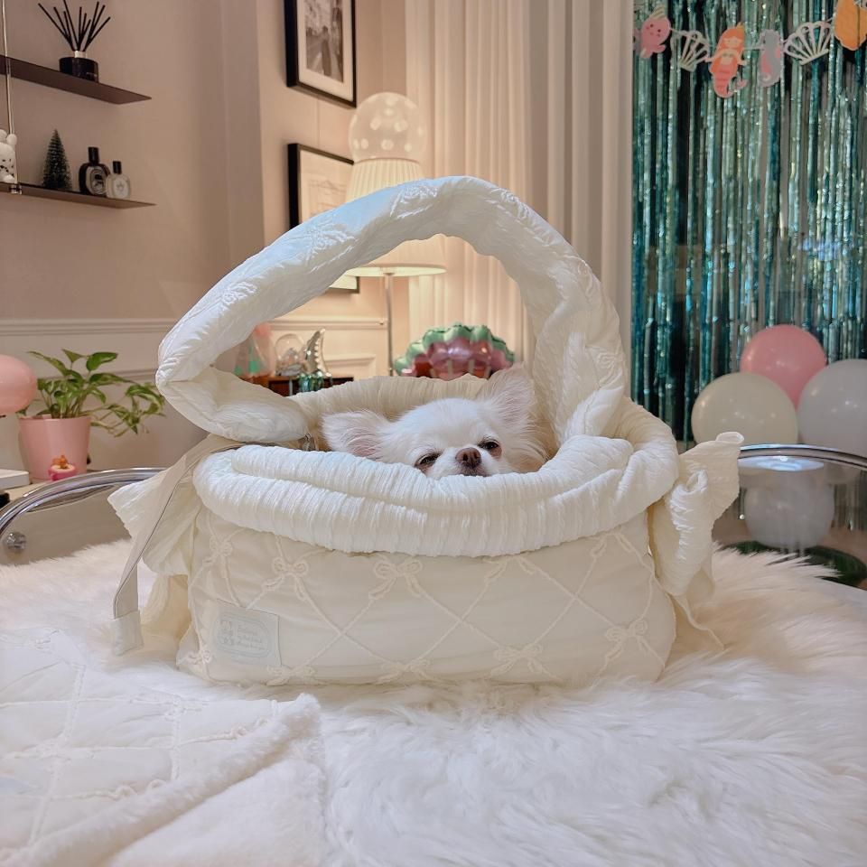 AJIBAG BONGBONGMilk Creamͽ12~ȯͽ