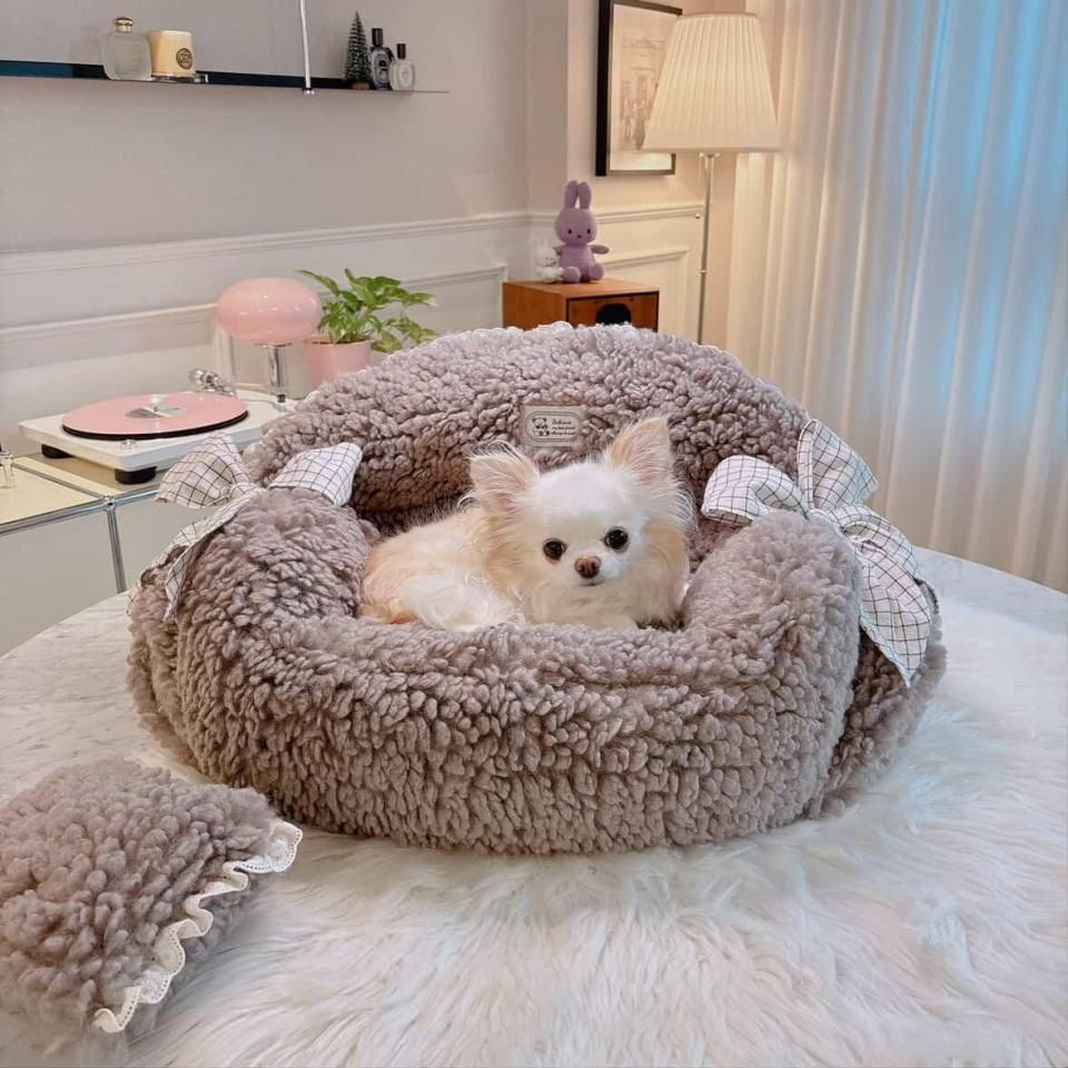 BONGBONG KITFluffy Brownie  ͽ1~ȯͽ