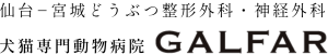 GALFAR饤󥷥å