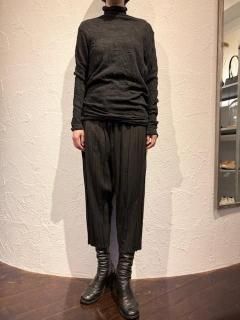 pas de calais  Wrinkle Turtleξʲ