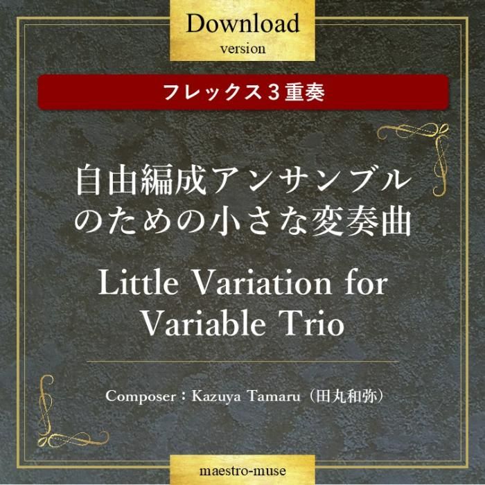 DLۡΥե쥭֥룳աϼͳ󥵥֥ΤξնʡLittle Variation for Variable TrioĴKazuya Tamaru