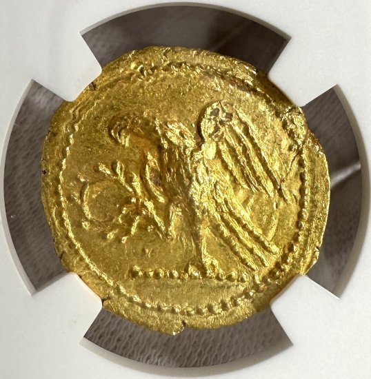 NGC鑑定】 古代ギリシャ トラキア スキタイ コソン スターテル金貨 MS 4/5 5/5 after54 BC スタテル 金貨 アンティークコイン  古代コイン 月桂樹 鷲