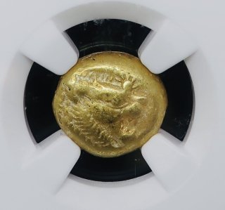  NGC ChVF 5/5 4/5ǥ 1/3ƥ 쥯ȥ 饤610-546 BC 奮ꥷ ƥ 쥯ȥ ߡƥ 女