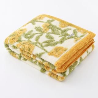 Eazy Boiled Woolʥܥɥ/ ɥե ֥󥱥å